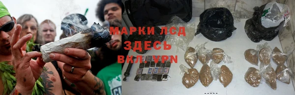 мдпв Богородск
