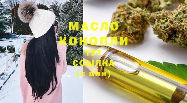 мдпв Богородск
