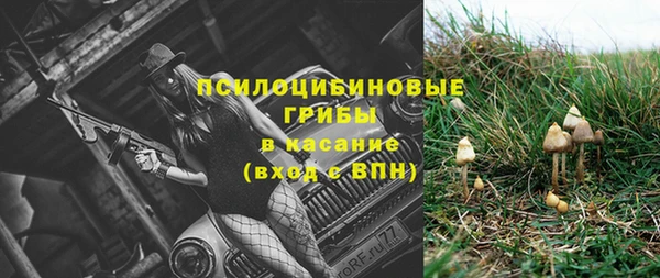 мдпв Богородск