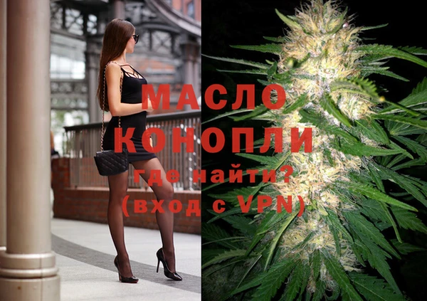 мдпв Богородск