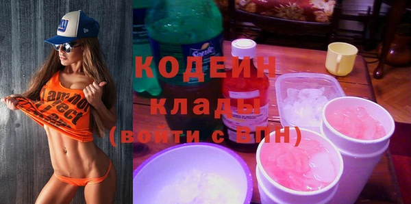 мдпв Богородск