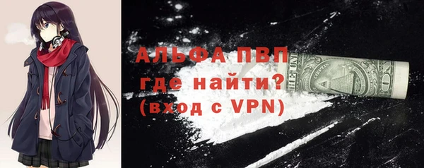 мдпв Богородск